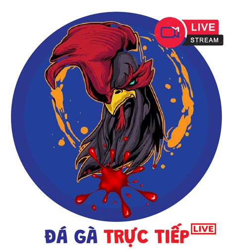 Đá Gà Trực Tuyến 26/8/2024 .